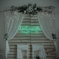 Happily ever after Neon sign